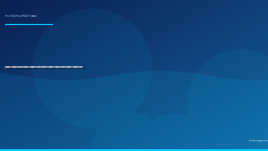 クエ（九絵・垢穢）完全図鑑｜遠州灘・御前崎沖の「幻の巨大ハタ」生態・泳がせ釣り・落とし込み・ジギング・鍋＆薄造りレシピまで徹底解説