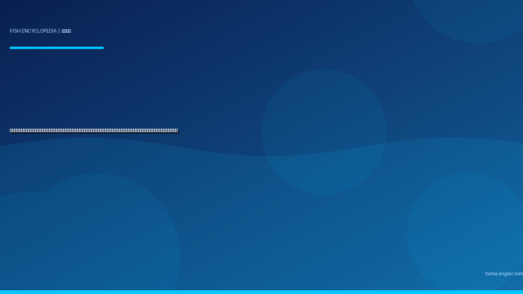 カサゴ（笠子・ガシラ）完全図鑑｜浜名湖・遠州灘の「根魚の大番頭」生態・穴釣り・ロックフィッシュゲーム・船カサゴ・煮付け＆唐揚げレシピまで徹底解説