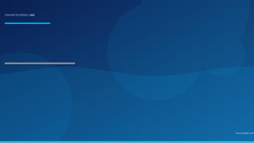 キジハタ（アコウ）完全図鑑｜遠州灘・御前崎沖の「磯礁の宝石」生態・ロックフィッシュゲーム・船釣り・刺身＆鍋レシピまで徹底解説