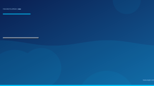 カマス（魳・梭子魚）完全図鑑｜浜名湖・遠州灘の「秋の銀槍」生態・ルアー・ウキ釣り・干物レシピまで徹底解説