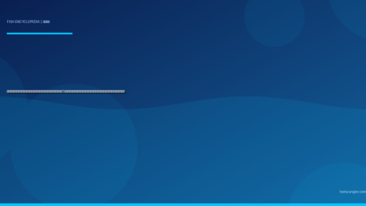 メバル（眼張）完全図鑑｜浜名湖・遠州灘の「岩礁の星」クロ・アカ・シロ3種の見分け方・メバリング・電気ウキ夜釣り・煮付け＆唐揚げレシピまで徹底解説