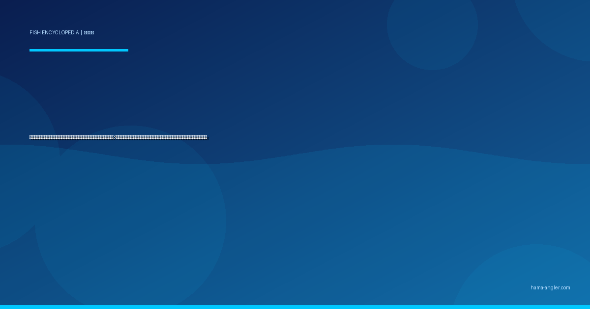 メバル（眼張）完全図鑑｜浜名湖・遠州灘の「岩礁の星」クロ・アカ・シロ3種の見分け方・メバリング・電気ウキ夜釣り・煮付け＆唐揚げレシピまで徹底解説