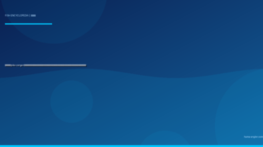 ハモ（鱧・pike conger）完全図鑑｜遠州灘・浜名湖の「梅雨の暴れ龍」生態・船釣り・ぶっこみ釣り・鱧しゃぶ＆天ぷらレシピまで徹底解説