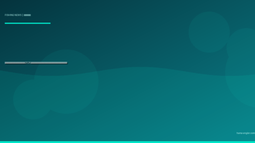 浜名湖の藻場再生プロジェクト最新動向2026｜アマモ場復活が釣果に与える影響と地元アングラーが知るべき全情報