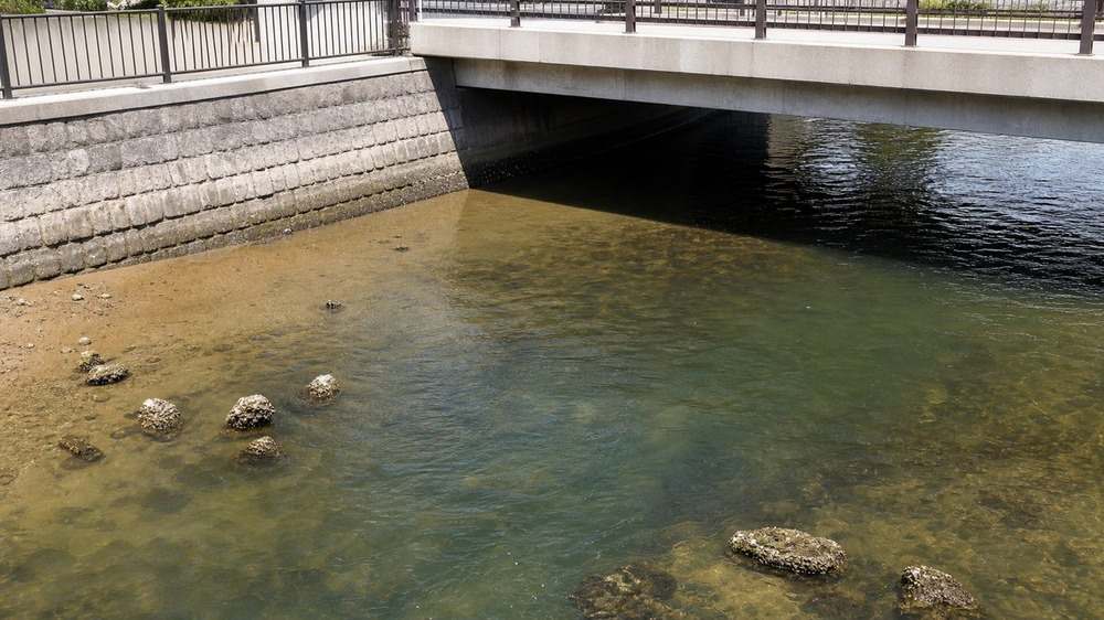 橋脚の明暗と浅い泥砂底や沈み石が続く都市河川下流