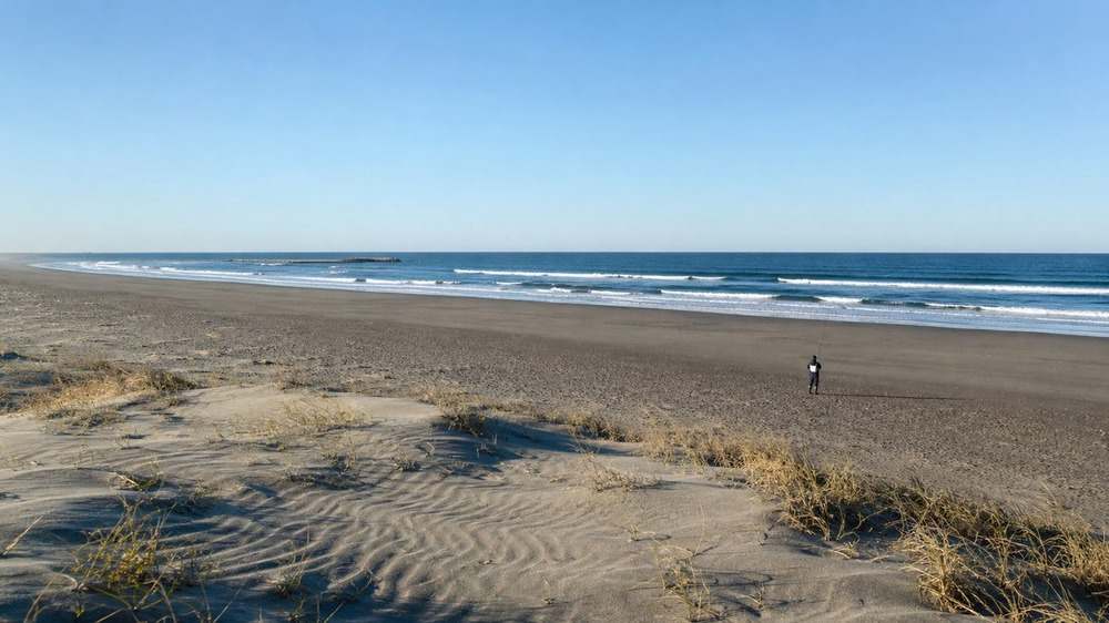 低い砂丘から長い砂浜とヘッドランドを一望する中田島海岸