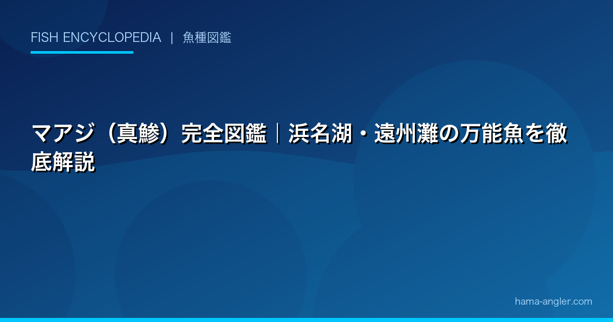 マアジ（真鯵）完全図鑑｜浜名湖・遠州灘の万能魚を徹底解説