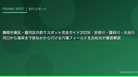 静岡市葵区・駿河区の釣りスポット完全ガイド2026｜安倍川・藁科川・大谷川河口から海岸まで街なかから行ける穴場フィールドを浜松丸が徹底解説