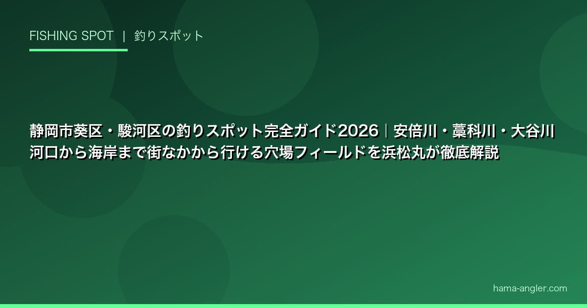 静岡市葵区・駿河区の釣りスポット完全ガイド2026｜安倍川・藁科川・大谷川河口から海岸まで街なかから行ける穴場フィールドを浜松丸が徹底解説