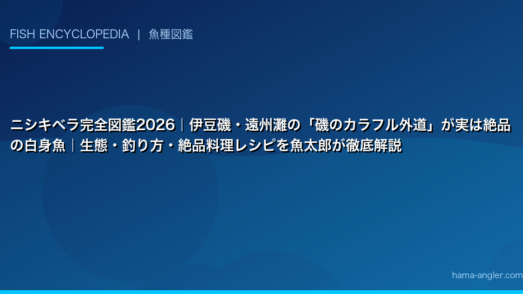 ニシキベラ完全図鑑2026｜伊豆磯・遠州灘の「磯のカラフル外道」が実は絶品の白身魚｜生態・釣り方・絶品料理レシピを魚太郎が徹底解説
