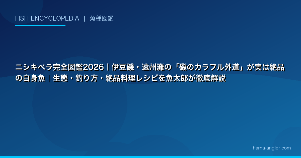 ニシキベラ完全図鑑2026｜伊豆磯・遠州灘の「磯のカラフル外道」が実は絶品の白身魚｜生態・釣り方・絶品料理レシピを魚太郎が徹底解説