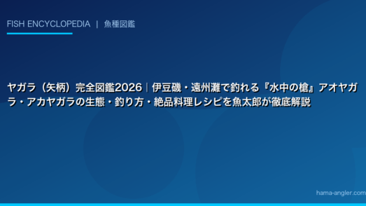 ヤガラ（矢柄）完全図鑑2026｜伊豆磯・遠州灘で釣れる『水中の槍』アオヤガラ・アカヤガラの生態・釣り方・絶品料理レシピを魚太郎が徹底解説