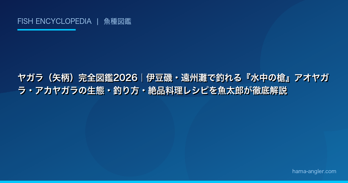 ヤガラ（矢柄）完全図鑑2026｜伊豆磯・遠州灘で釣れる『水中の槍』アオヤガラ・アカヤガラの生態・釣り方・絶品料理レシピを魚太郎が徹底解説