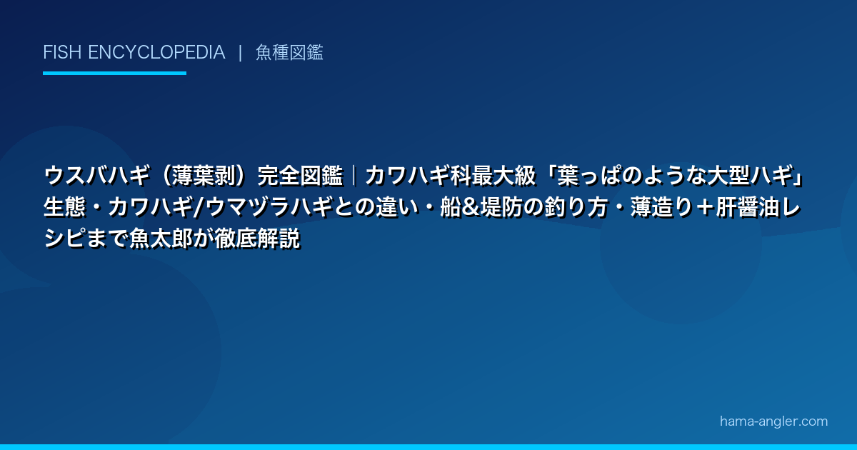 ウスバハギ（薄葉剥）完全図鑑｜カワハギ科最大級「葉っぱのような大型ハギ」生態・カワハギ/ウマヅラハギとの違い・船&堤防の釣り方・薄造り＋肝醤油レシピまで魚太郎が徹底解説