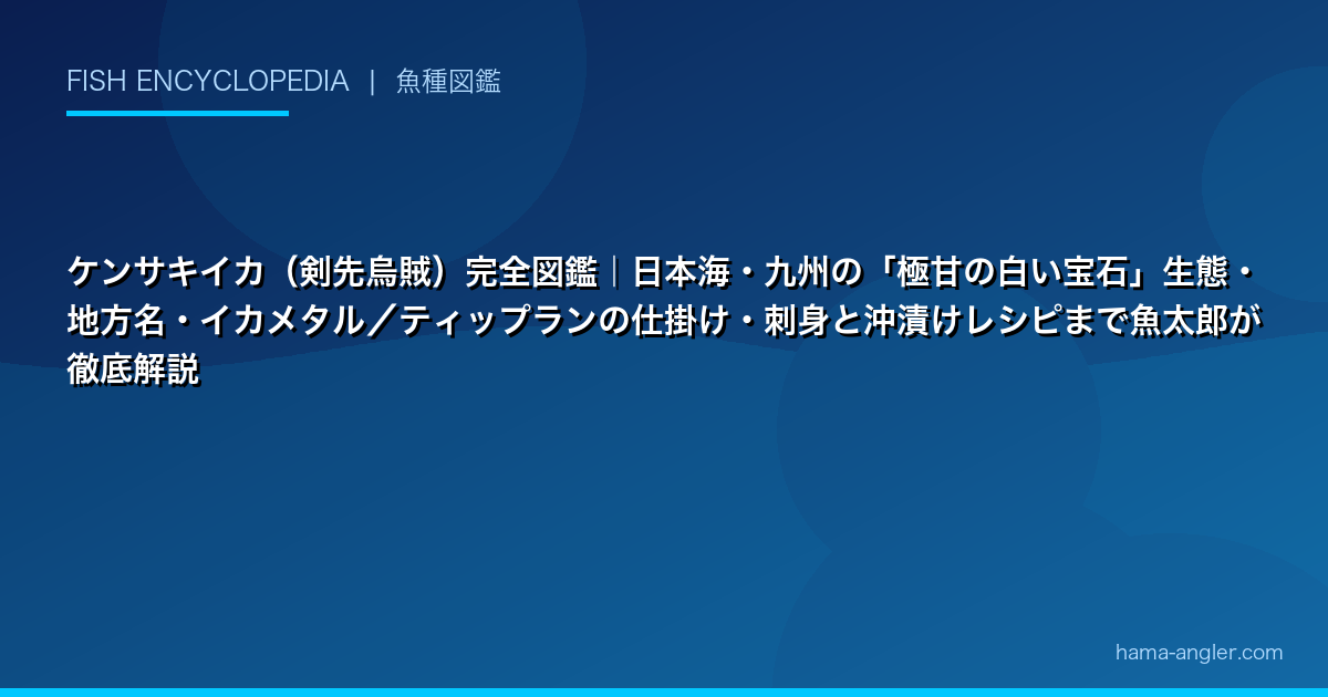 ケンサキイカ（剣先烏賊）完全図鑑｜日本海・九州の「極甘の白い宝石」生態・地方名・イカメタル／ティップランの仕掛け・刺身と沖漬けレシピまで魚太郎が徹底解説