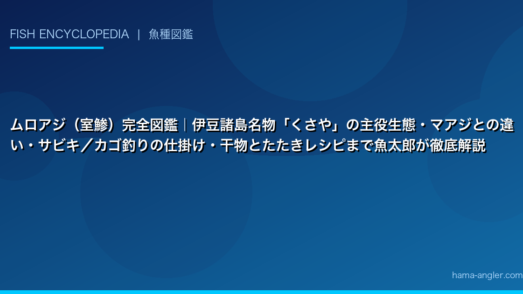 ムロアジ（室鯵）完全図鑑｜伊豆諸島名物「くさや」の主役生態・マアジとの違い・サビキ／カゴ釣りの仕掛け・干物とたたきレシピまで魚太郎が徹底解説