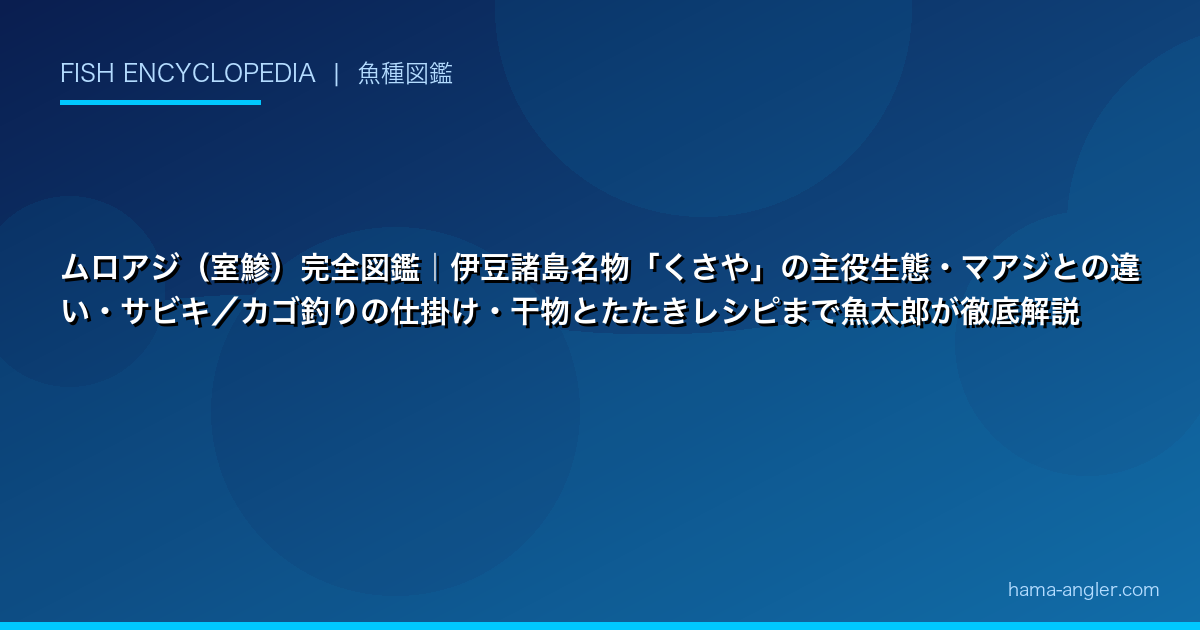 ムロアジ(室鯵)完全図鑑|伊豆諸島名物「くさや」の主役生態・マアジとの違い・サビキ/カゴ釣りの仕掛け・干物とたたきレシピまで魚太郎が徹底解説