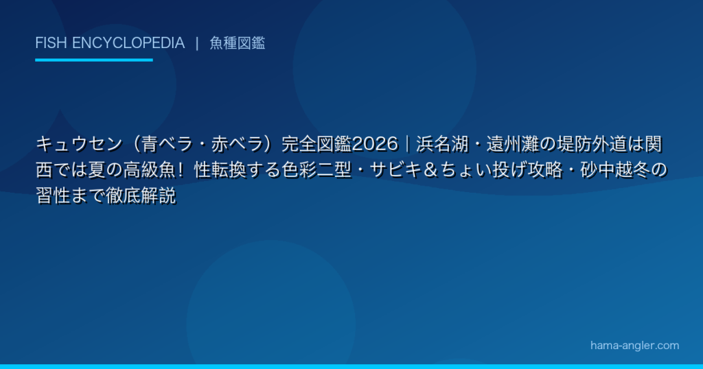 キュウセン(青ベラ・赤ベラ)完全図鑑2026|浜名湖・遠州灘の堤防外道は関西では夏の高級魚!性転換する色彩二型・サビキ&ちょい投げ攻略・砂中 ...