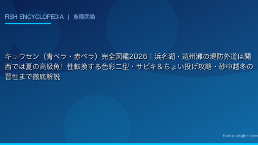 キュウセン（青ベラ・赤ベラ）完全図鑑2026｜浜名湖・遠州灘の堤防外道は関西では夏の高級魚！性転換する色彩二型・サビキ＆ちょい投げ攻略・砂中越冬の習性まで徹底解説