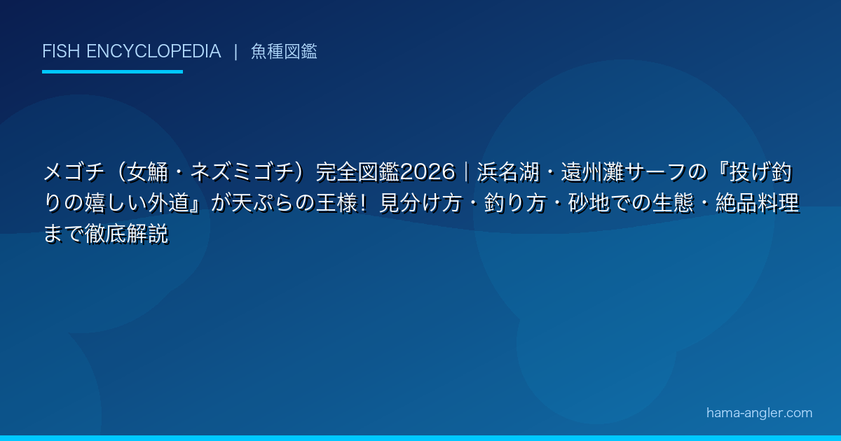 メゴチ（女鯒・ネズミゴチ）完全図鑑2026｜浜名湖・遠州灘サーフの『投げ釣りの嬉しい外道』が天ぷらの王様！見分け方・釣り方・砂地での生態・絶品料理まで徹底解説