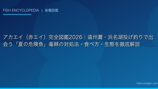 アカエイ（赤エイ）完全図鑑2026｜遠州灘・浜名湖投げ釣りで出会う「夏の危険魚」毒棘の対処法・食べ方・生態を徹底解説