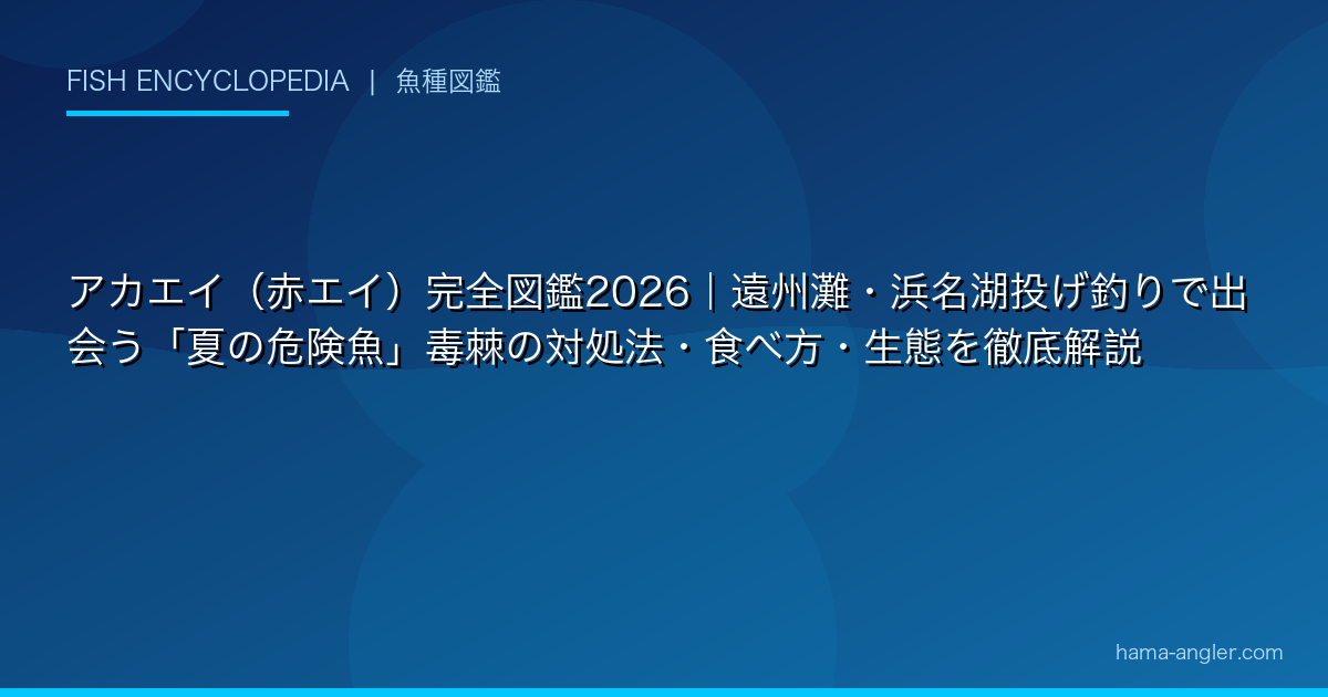 アカエイ（赤エイ）完全図鑑2026｜遠州灘・浜名湖投げ釣りで出会う「夏の危険魚」毒棘の対処法・食べ方・生態を徹底解説