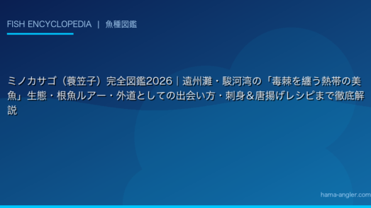 ミノカサゴ（蓑笠子）完全図鑑2026｜遠州灘・駿河湾の「毒棘を纏う熱帯の美魚」生態・根魚ルアー・外道としての出会い方・刺身＆唐揚げレシピまで徹底解説