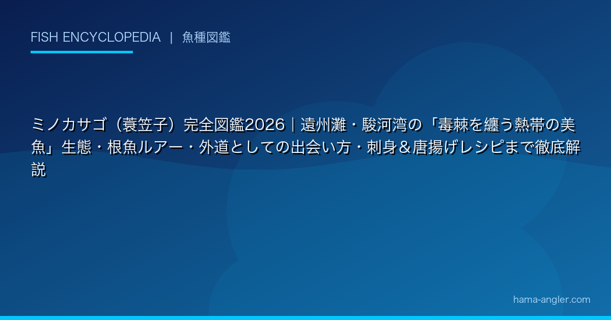 ミノカサゴ（蓑笠子）完全図鑑2026｜遠州灘・駿河湾の「毒棘を纏う熱帯の美魚」生態・根魚ルアー・外道としての出会い方・刺身＆唐揚げレシピまで徹底解説