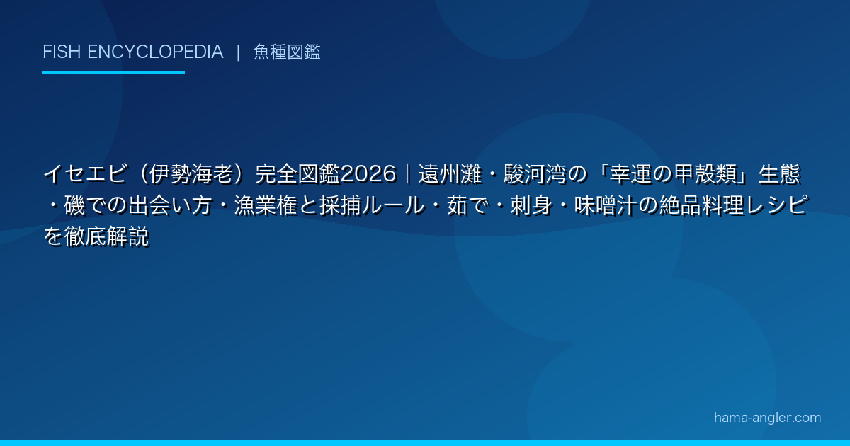 イセエビ（伊勢海老）完全図鑑2026｜遠州灘・駿河湾の「幸運の甲殻類」生態・磯での出会い方・漁業権と採捕ルール・茹で・刺身・味噌汁の絶品料理レシピを徹底解説