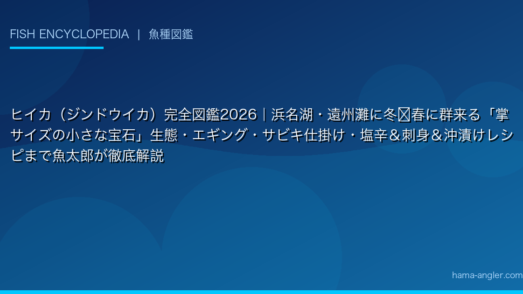 ヒイカ（ジンドウイカ）完全図鑑2026｜浜名湖・遠州灘に冬〜春に群来る「掌サイズの小さな宝石」生態・エギング・サビキ仕掛け・塩辛＆刺身＆沖漬けレシピまで魚太郎が徹底解説