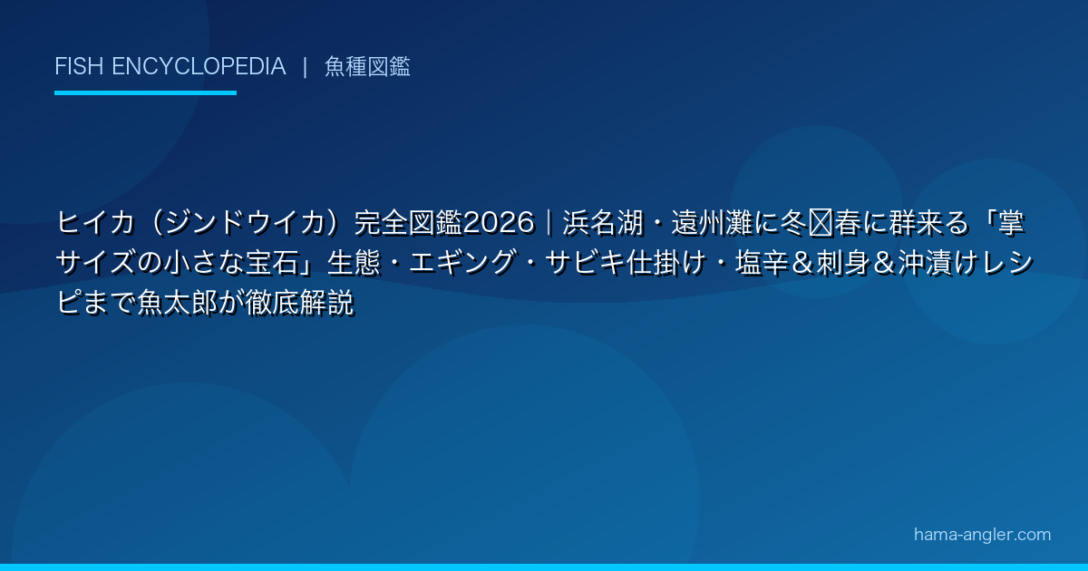 ヒイカ（ジンドウイカ）完全図鑑2026｜浜名湖・遠州灘に冬〜春に群来る「掌サイズの小さな宝石」生態・エギング・サビキ仕掛け・塩辛＆刺身＆沖漬けレシピまで魚太郎が