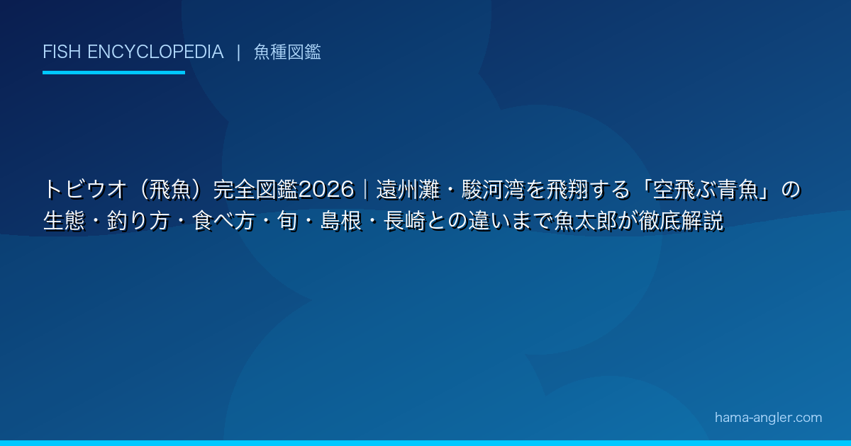 トビウオ（飛魚）完全図鑑2026｜遠州灘・駿河湾を飛翔する「空飛ぶ青魚」の生態・釣り方・食べ方・旬・島根・長崎との違いまで魚太郎が徹底解説