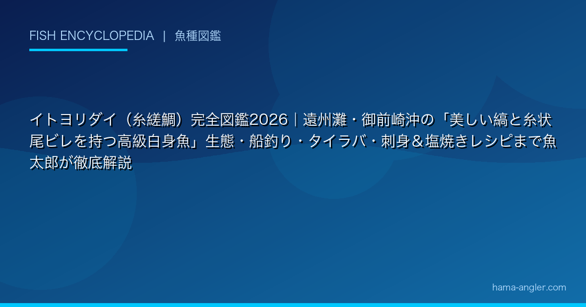 イトヨリダイ（糸縒鯛）完全図鑑2026｜遠州灘・御前崎沖の「美しい縞と糸状尾ビレを持つ高級白身魚」生態・船釣り・タイラバ・刺身＆塩焼きレシピまで魚太郎が徹底解説