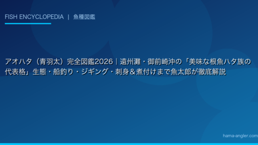 アオハタ（青羽太）完全図鑑2026｜遠州灘・御前崎沖の「美味な根魚ハタ族の代表格」生態・船釣り・ジギング・刺身＆煮付けまで魚太郎が徹底解説