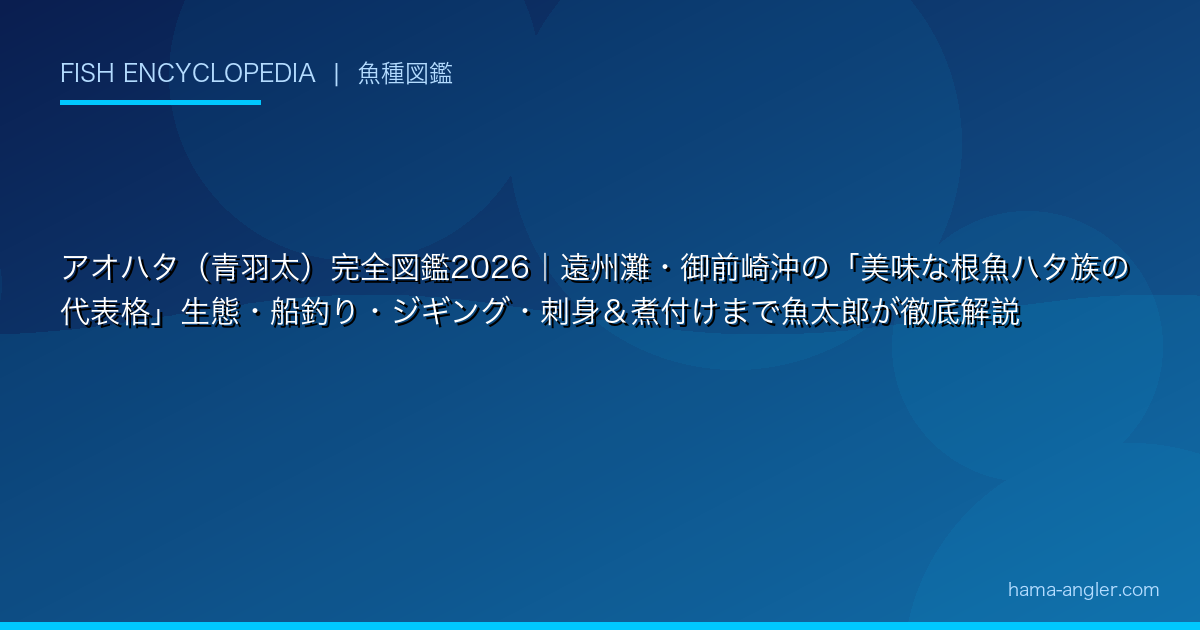 アオハタ(青羽太)完全図鑑2026|遠州灘・御前崎沖の「美味な根魚ハタ族の代表格」生態・船釣り・ジギング・刺身&煮付けまで魚太郎が徹底解説