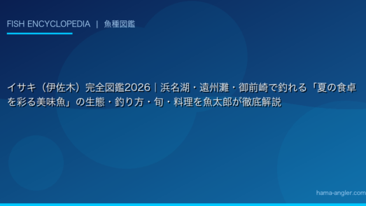 イサキ（伊佐木）完全図鑑2026｜浜名湖・遠州灘・御前崎で釣れる「夏の食卓を彩る美味魚」の生態・釣り方・旬・料理を魚太郎が徹底解説
