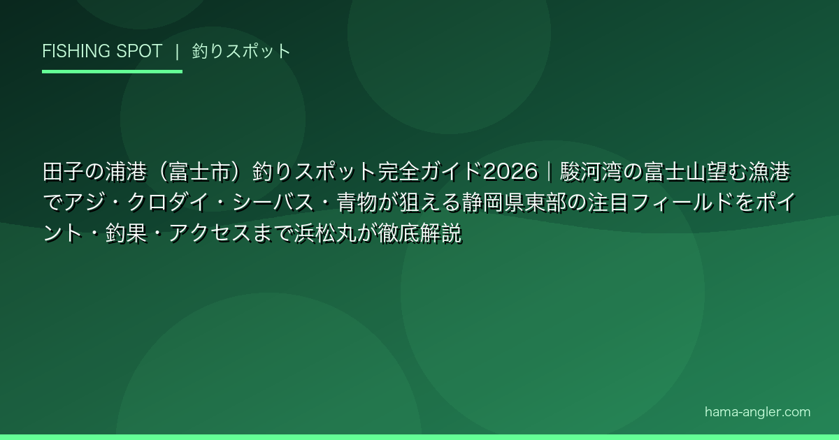 田子の浦港（富士市）釣りスポット完全ガイド2026｜駿河湾の富士山望む漁港でアジ・クロダイ・シーバス・青物が狙える静岡県東部の注目フィールドをポイント・釣果・アクセスまで浜松丸が徹底解説