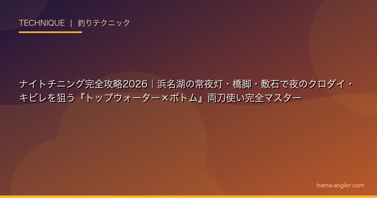 ナイトチニング完全攻略2026｜浜名湖の常夜灯・橋脚・敷石で夜のクロダイ・キビレを狙う『トップウォーター×ボトム』両刀使い完全マスター