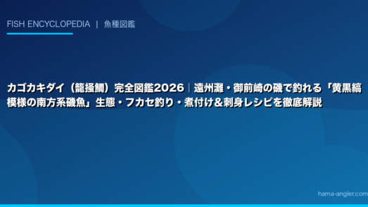 カゴカキダイ（籠掻鯛）完全図鑑2026｜遠州灘・御前崎の磯で釣れる「黄黒縞模様の南方系磯魚」生態・フカセ釣り・煮付け＆刺身レシピを徹底解説