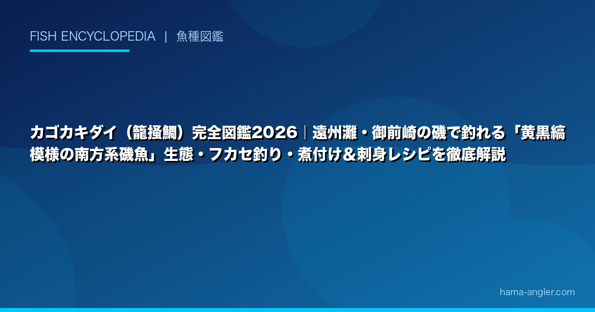 カゴカキダイ（籠掻鯛）完全図鑑2026｜遠州灘・御前崎の磯で釣れる「黄黒縞模様の南方系磯魚」生態・フカセ釣り・煮付け＆刺身レシピを徹底解説