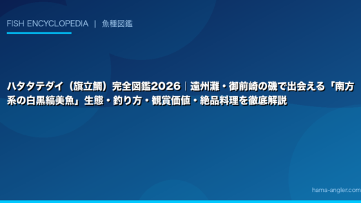 ハタタテダイ（旗立鯛）完全図鑑2026｜遠州灘・御前崎の磯で出会える「南方系の白黒縞美魚」生態・釣り方・観賞価値・絶品料理を徹底解説