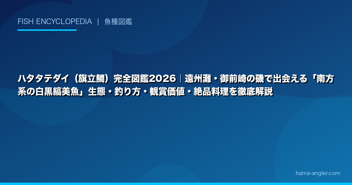 ハタタテダイ(旗立鯛)完全図鑑2026|遠州灘・御前崎の磯で出会える「南方系の白黒縞美魚」生態・釣り方・観賞価値・絶品料理を徹底解説