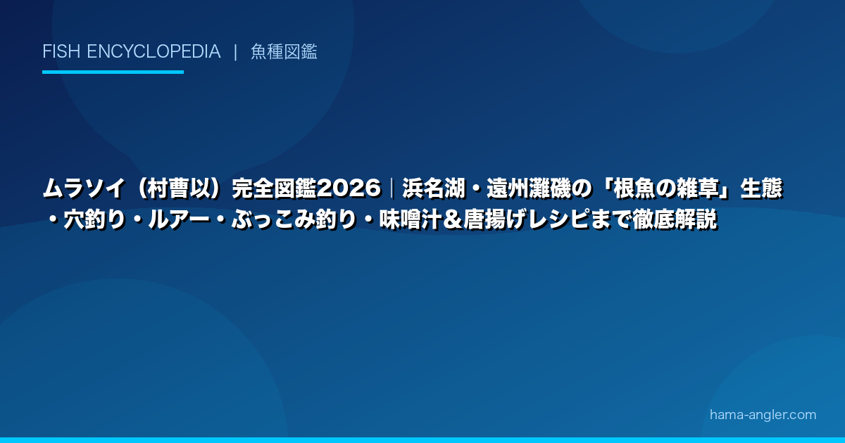 ムラソイ(村曹以)完全図鑑2026|浜名湖・遠州灘磯の「根魚の雑草」生態・穴釣り・ルアー・ぶっこみ釣り・味噌汁&唐揚げレシピまで徹底解説