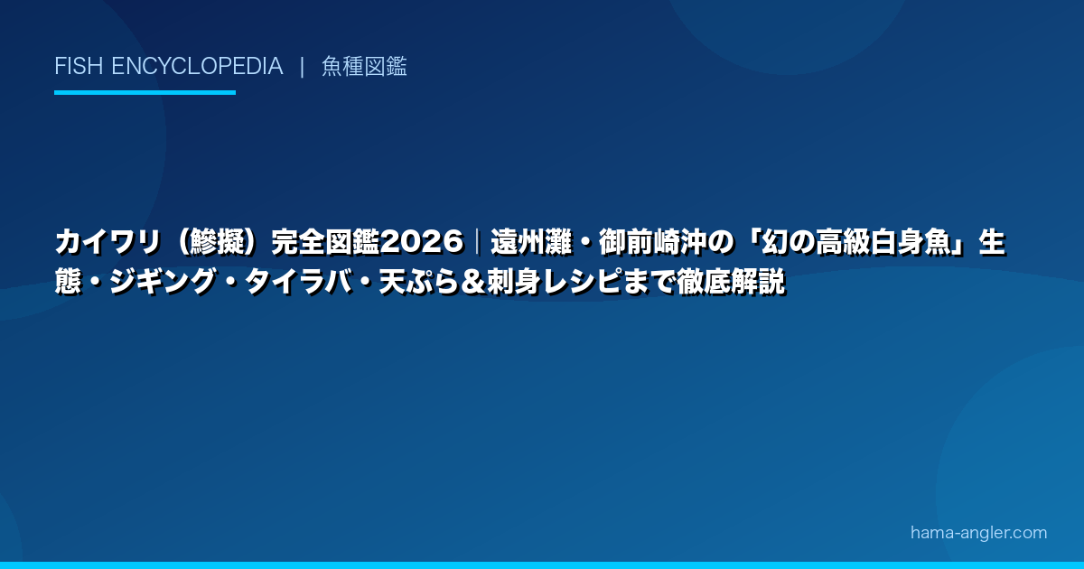 カイワリ（鰺擬）完全図鑑2026｜遠州灘・御前崎沖の「幻の高級白身魚」生態・ジギング・タイラバ・天ぷら＆刺身レシピまで徹底解説