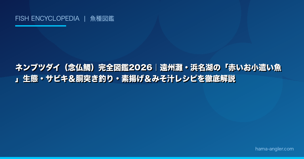 ネンブツダイ（念仏鯛）完全図鑑2026｜遠州灘・浜名湖の「赤いお小遣い魚」生態・サビキ＆胴突き釣り・素揚げ＆みそ汁レシピを徹底解説