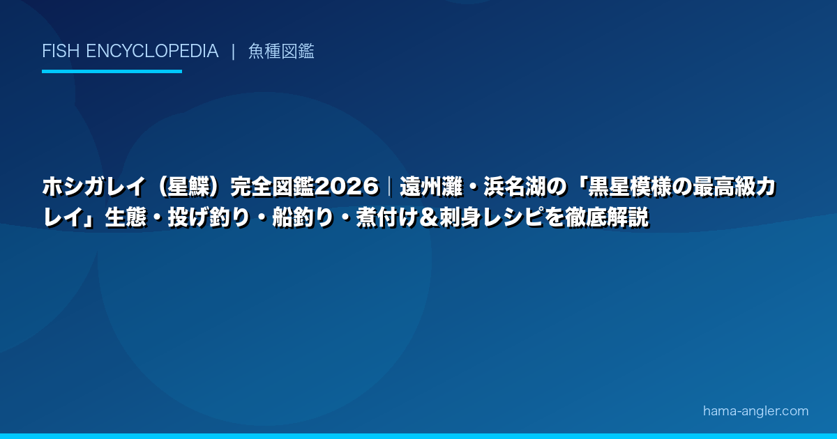 ホシガレイ(星鰈)完全図鑑2026|遠州灘・浜名湖の「黒星模様の最高級カレイ」生態・投げ釣り・船釣り・煮付け&刺身レシピを徹底解説