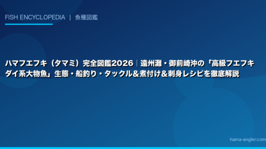 ハマフエフキ（タマミ）完全図鑑2026｜遠州灘・御前崎沖の「高級フエフキダイ系大物魚」生態・船釣り・タックル＆煮付け＆刺身レシピを徹底解説