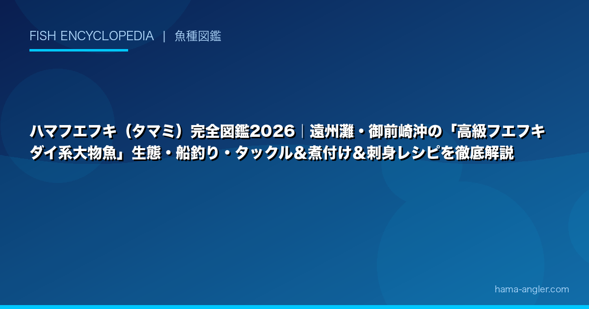 ハマフエフキ（タマミ）完全図鑑2026｜遠州灘・御前崎沖の「高級フエフキダイ系大物魚」生態・船釣り・タックル＆煮付け＆刺身レシピを徹底解説