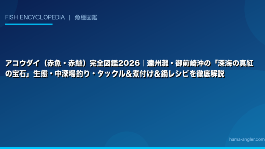 アコウダイ（赤魚・赤鱸）完全図鑑2026｜遠州灘・御前崎沖の「深海の真紅の宝石」生態・中深場釣り・タックル＆煮付け＆鍋レシピを徹底解説