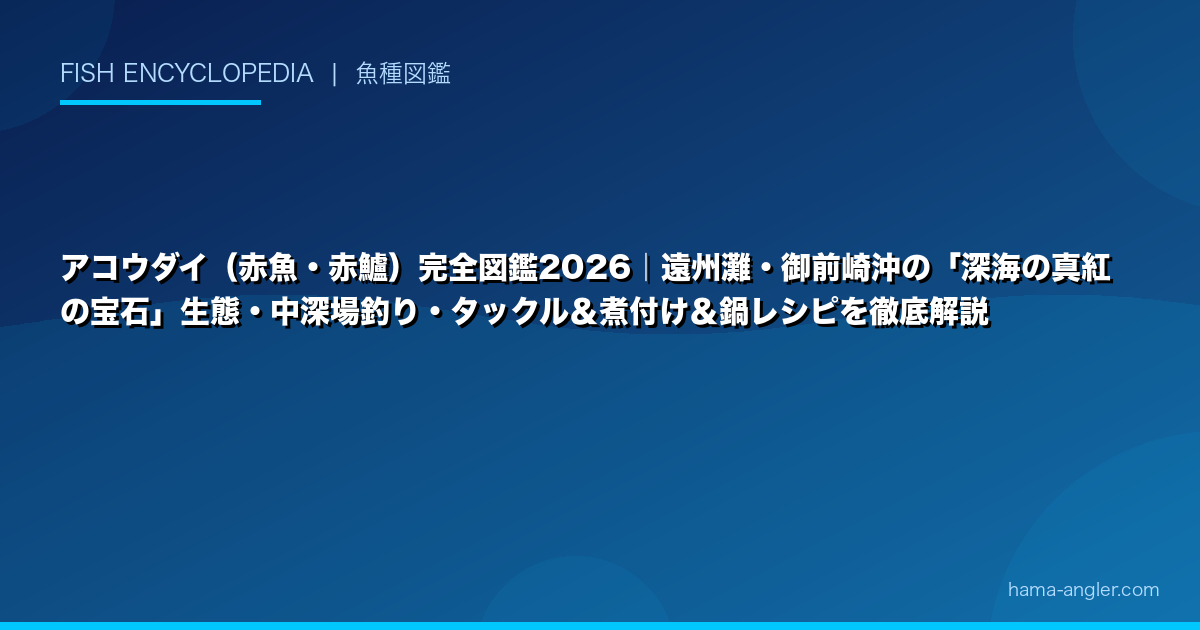 アコウダイ（赤魚・赤鱸）完全図鑑2026｜遠州灘・御前崎沖の「深海の真紅の宝石」生態・中深場釣り・タックル＆煮付け＆鍋レシピを徹底解説